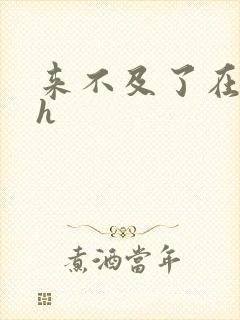 来不及了在车ch