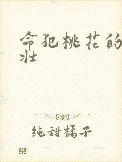 命犯桃花的李大壮