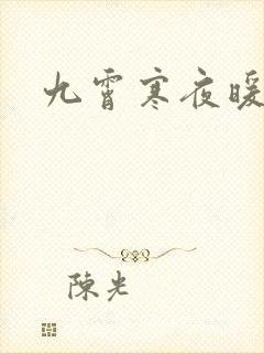 九霄寒夜暖小说