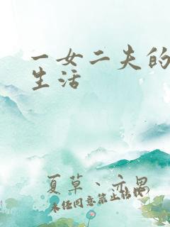 一女二夫的激情生活