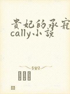 贵妃的承宠日常cally小说