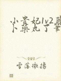 小贵妃1v2萝卜药丸了笔趣阁