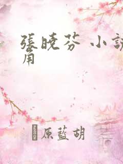 张晓芬 小说主角