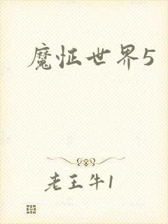 魔怔世界5
