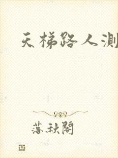 天梯路人测试器