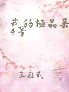 我的极品岳坶34章