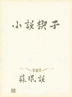 小说楔子