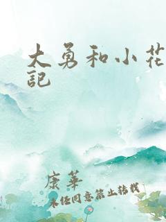 大勇和小花的日记