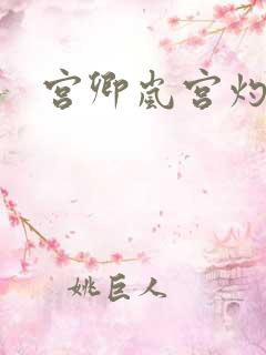 宫卿岚宫灼小说