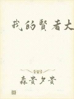 我的贤者大人