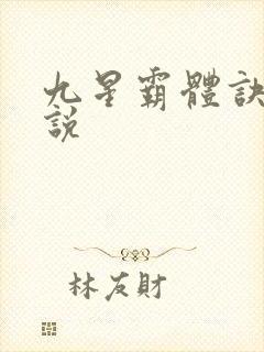 九星霸体诀 小说