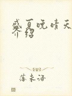 盛夏晚晴天剧情介绍