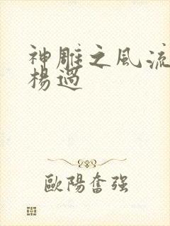 神雕之风流浪子杨过