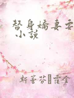 替身娇妻要离婚 小说