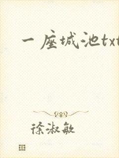 一座城池txt