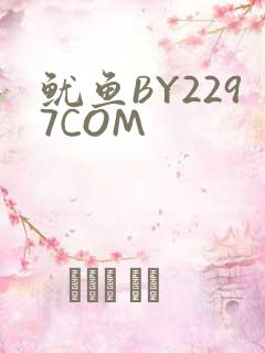 鱿鱼BY2297COM