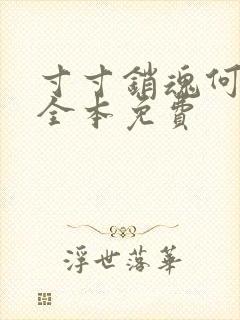 寸寸销魂何生祥全本免费