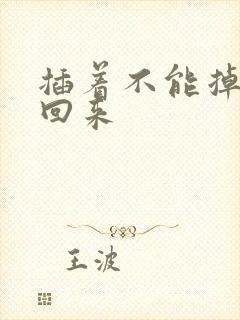 插着不能掉等我回来