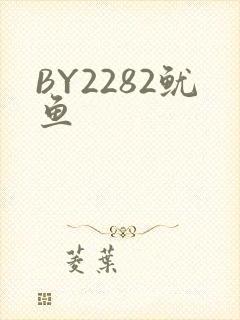 BY2282鱿鱼