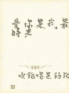 爱你是我最好的时光