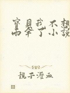 宝贝我不想带小雨伞了小说