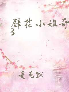 壁花小姐奇遇记3