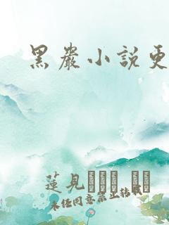 黑岩小说更新吧