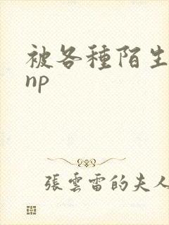 被各种陌生人 np