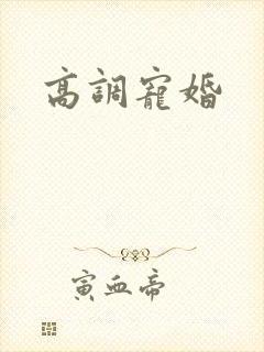 高调宠婚