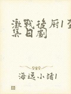 激战后厨1至5集日剧