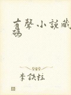 有声小说藏地密码