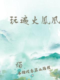 玩遍火凤凰队员