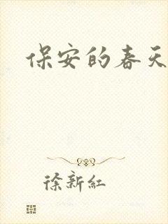 保安的春天