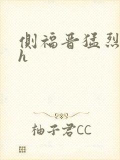 侧福晋猛烈顶弄h