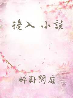 后入 小说