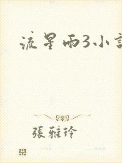 流星雨3小说
