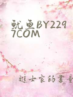 鱿鱼BY2297COM