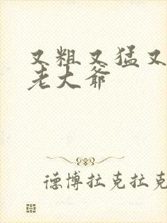 又粗又猛又大爽老大爷