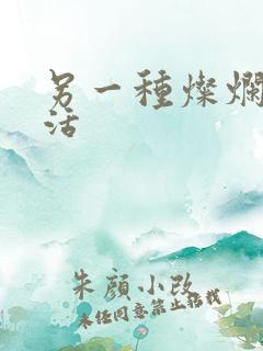 另一种灿烂的生活