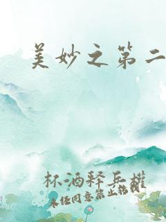 美妙之第二人生