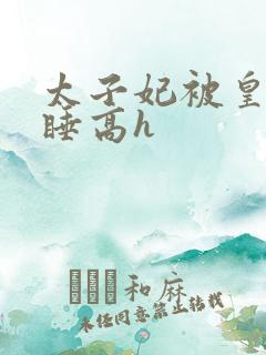 太子妃被皇上强睡高h