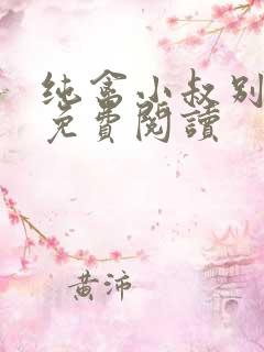 纯禽小叔别太猛免费阅读