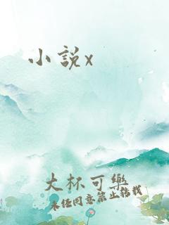 小说x