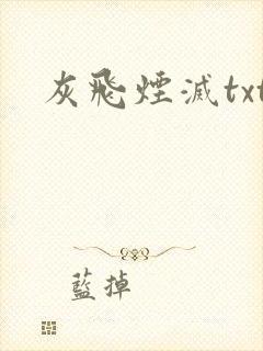 灰飞烟灭txt