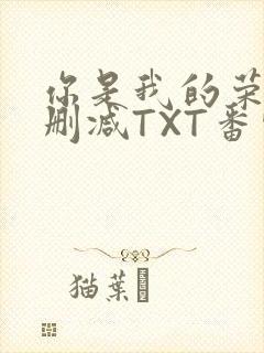 你是我的荣耀未删减TXT番外
