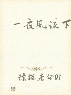 一夜风流下载