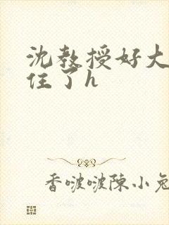 沈教授好大含不住了h