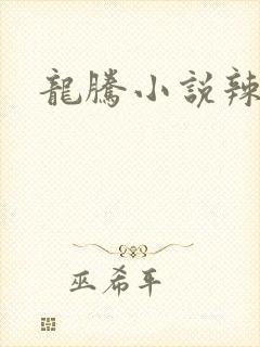 龙腾小说辣文网