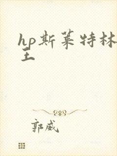 hp斯莱特林之王