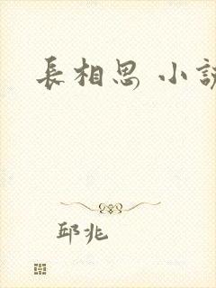 长相思 小说